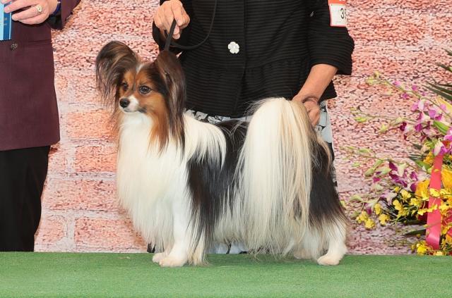SOLEIL犬舎の外観
