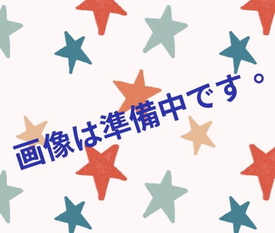 トイプードル🌸今週のお得プライス🌸可愛いタイニープードル🌸『犬のようちえん』ではおトイレを覚え始めた賢い子🌸全国へお届け可🌸安心の健康診断書付き🌸