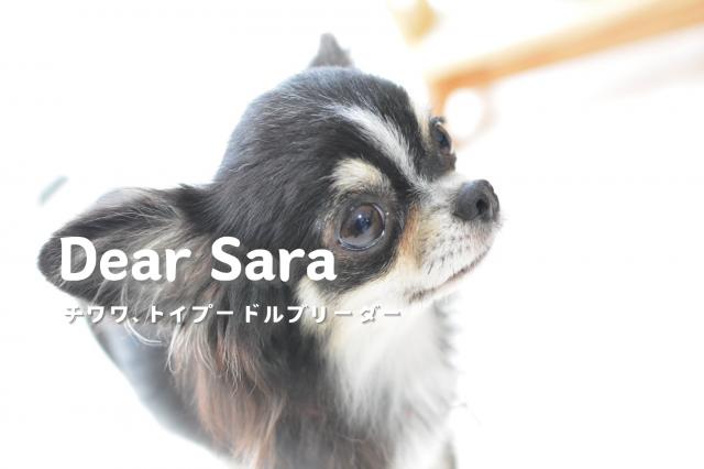 Dear Sara