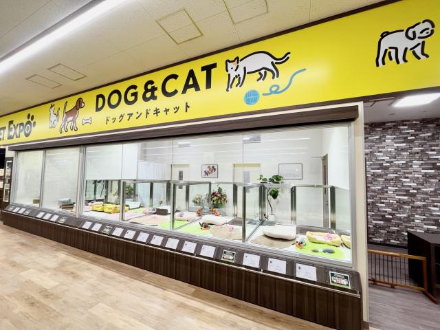 ペットエキスポ大井競馬場前店