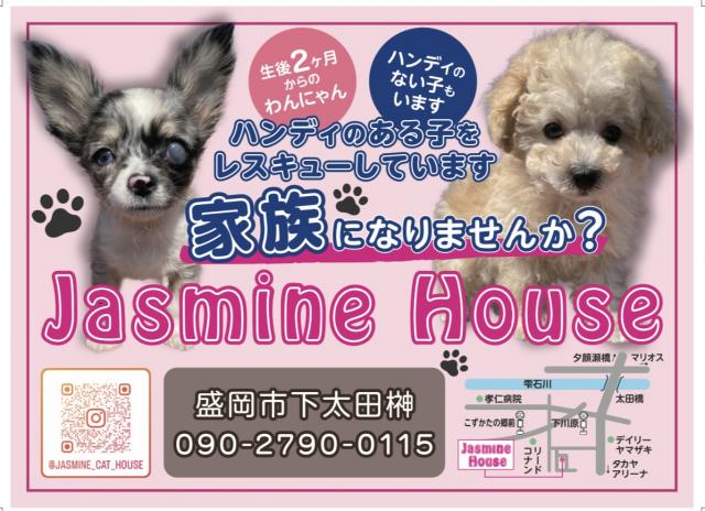 Jasmine house