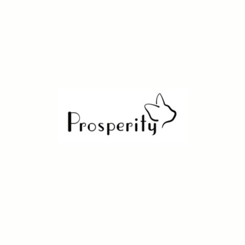 Prosperityの外観