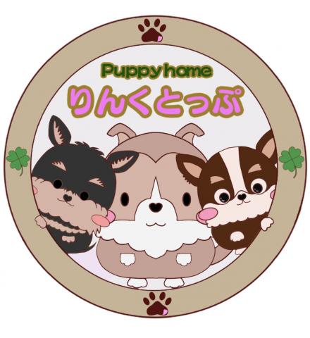 Puppyhome りんくとっぷ