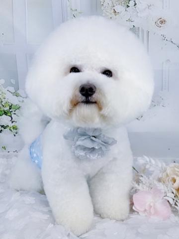 Toutou Blancの外観
