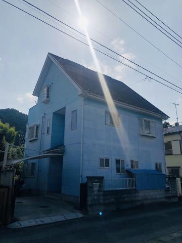 ペットの宝島の外観