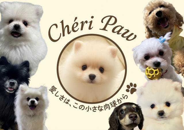 エンジェルハウスChéri Pawの外観