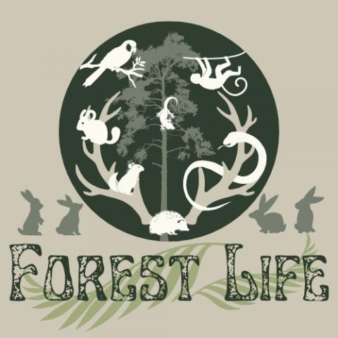 Forest Lifeの外観