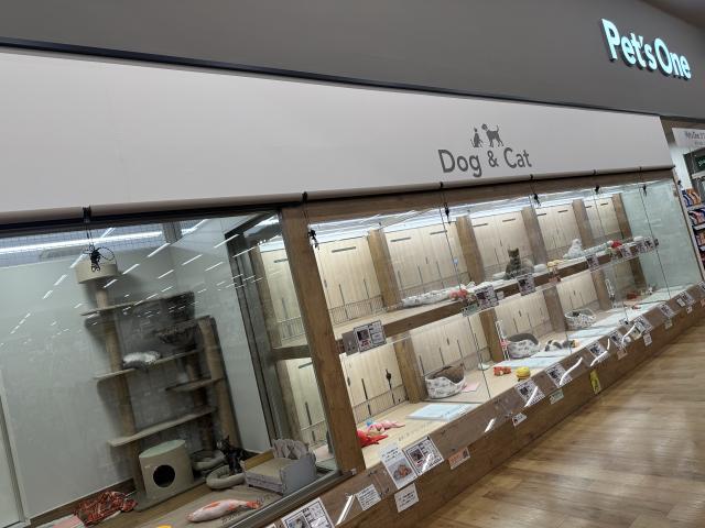 ペッツワン名古屋大高インター店の外観