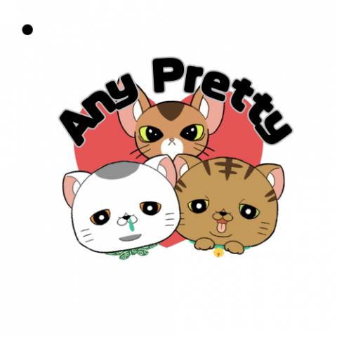 Any Prettyの外観