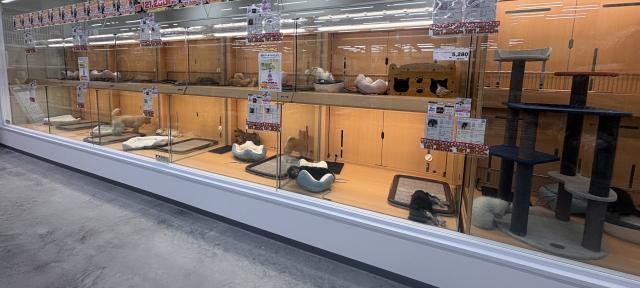 ペットアミ黒埼店の外観