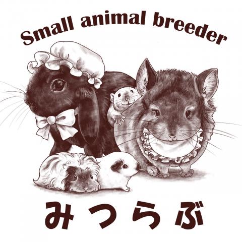 みつらぶReptilsの外観
