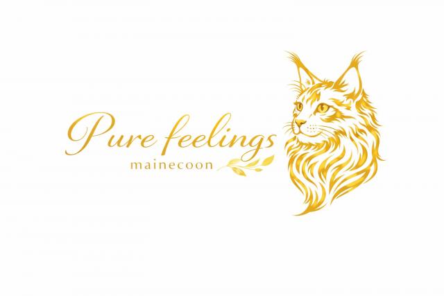 Cattery Pure Feelingsの外観