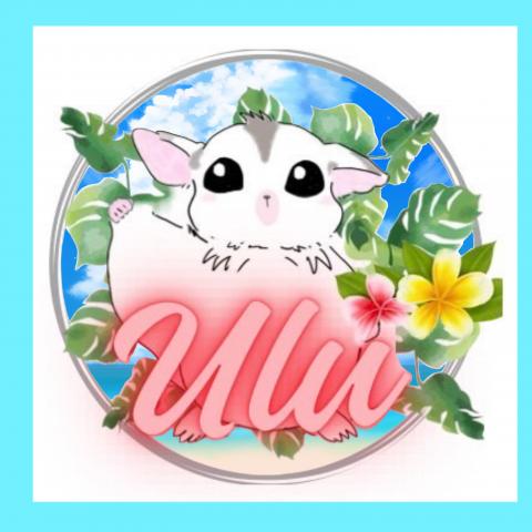 Ulu(ウル)フクロモモンガブリーダーの外観