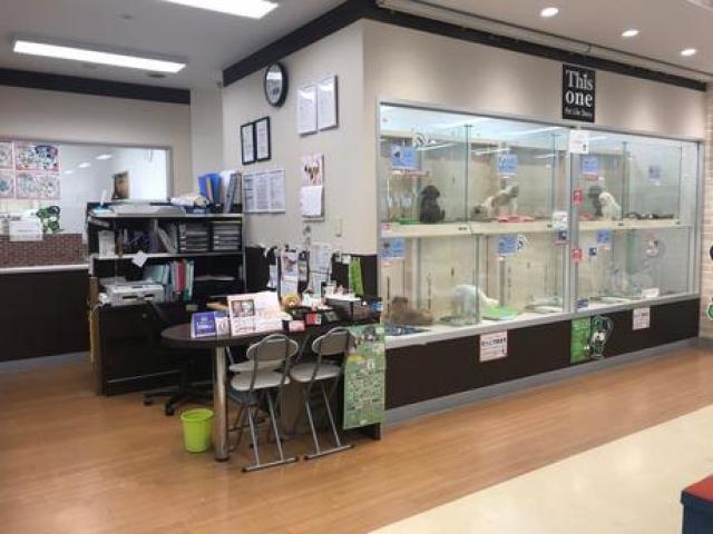 ディスワン大野城店の外観