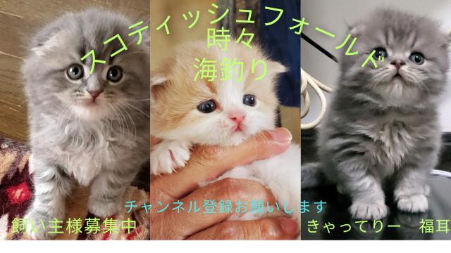 きゃってりー　福耳の外観