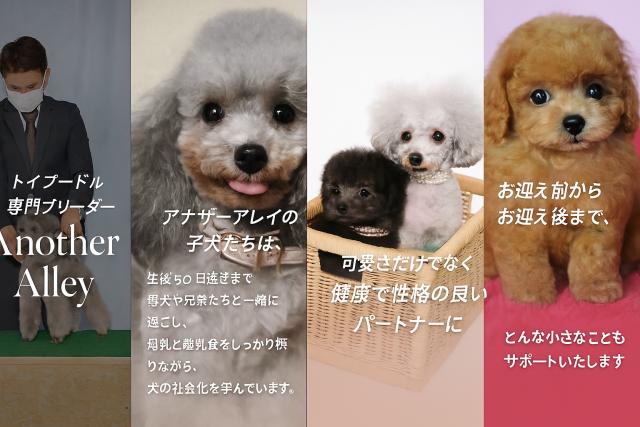 アナザー・アレイの外観