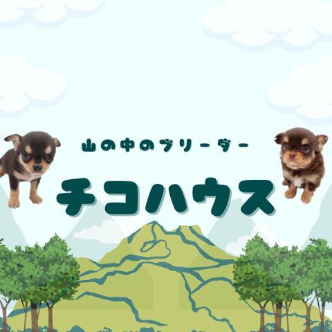 チコハウスの外観
