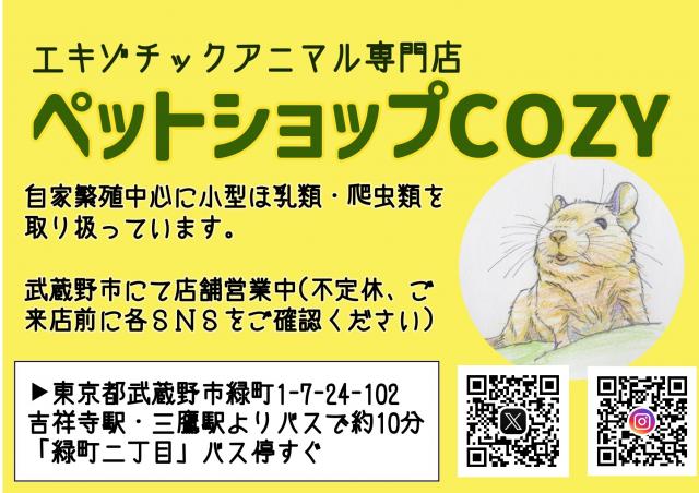 ペットショップCOZYの外観