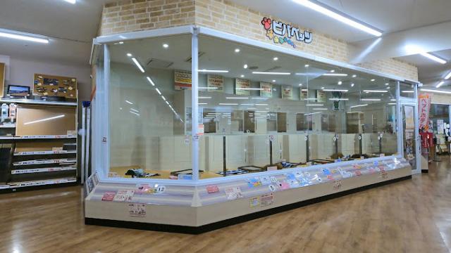 ビバペッツ赤間店の外観