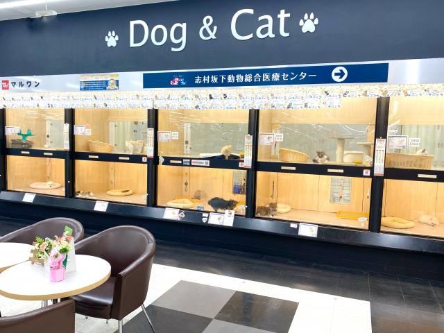 ペットショップ マルワン板橋志村坂下店の外観