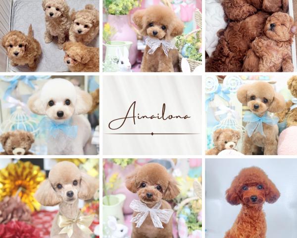 AINAILONA (アイナイロナ)の外観