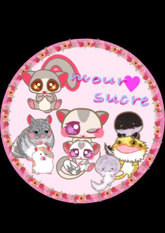 Amour♡sucreの外観