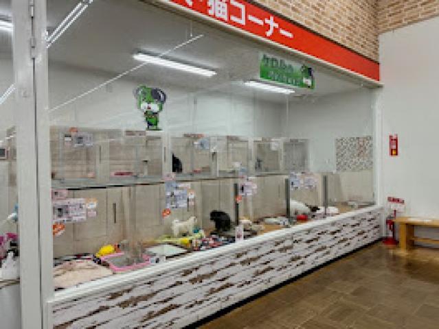 ニコペットセレクト座間店の外観