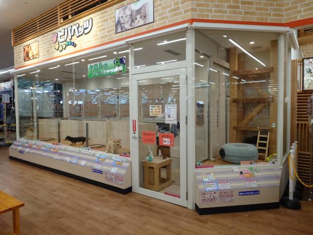 ビバペッツ大木店の外観