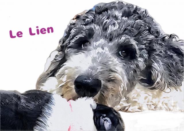 Le Lien(ルリアン)の外観