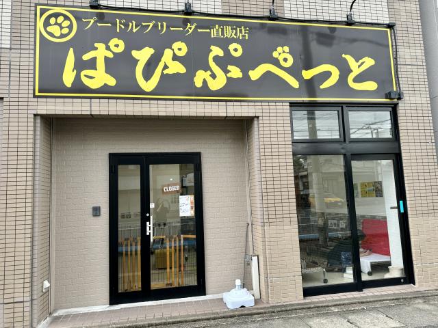 ぱぴぷぺっと福岡店の外観