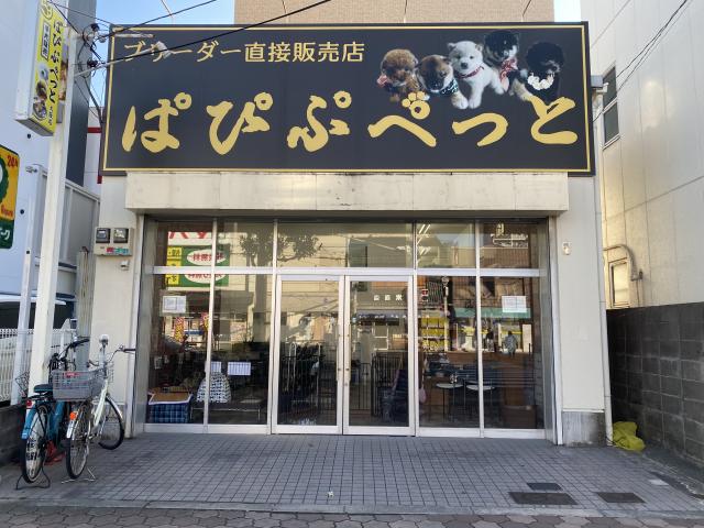 ぱぴぷぺっと大阪店の外観