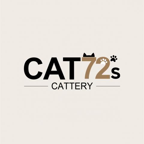 CAT72の外観