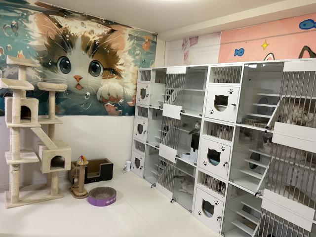 Ragdoll Meow 猫舎の外観