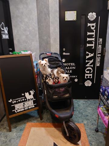 プティアンジュの外観