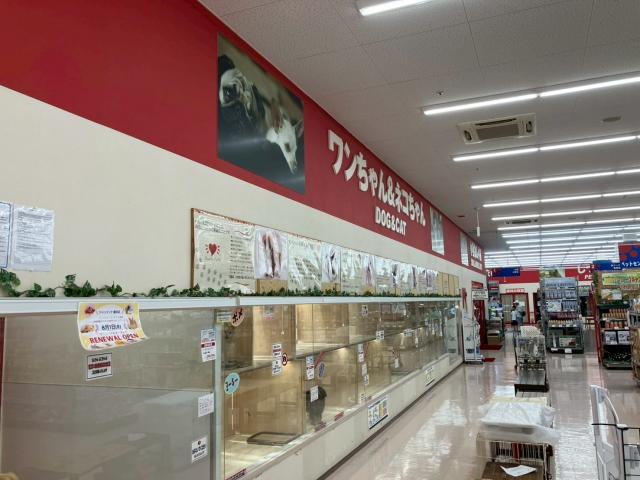 OneBuddy瀬田店の外観
