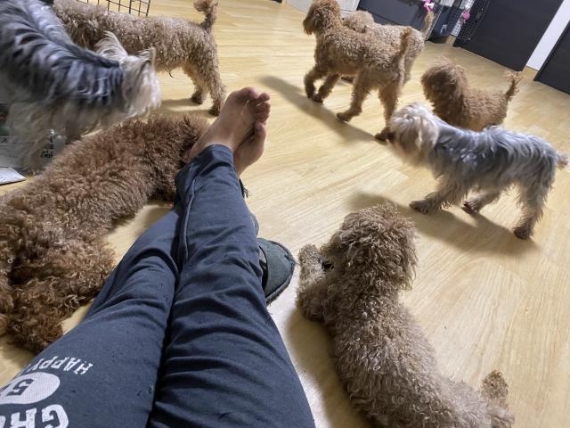ユミペットの外観