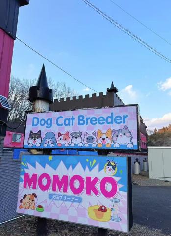 MOMOKO Petの外観