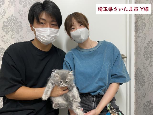 猫アレルギー氏 スクリーンショット-2019-11-25-