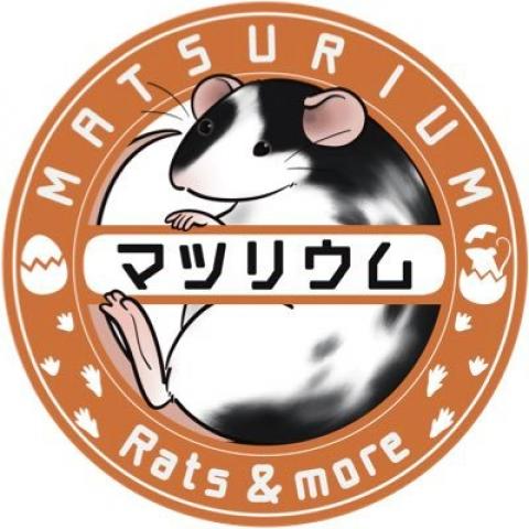 マツリウムの写真(埼玉県さいたま市見沼区)