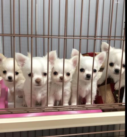 ALL ONE’S LIFEの外観