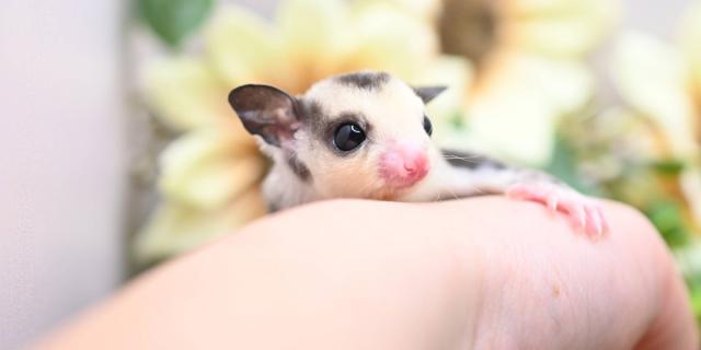 Jade Groveの外観