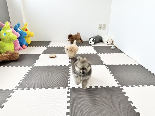 IHANAの外観