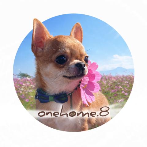 onehome.8の外観
