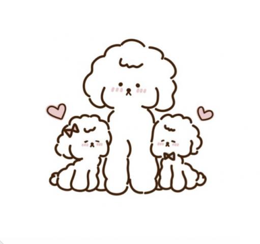 mignon puquの外観