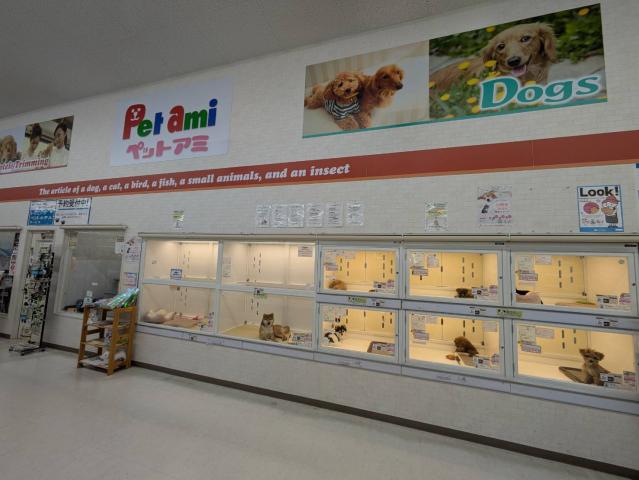 ペットアミ佐沼店の外観