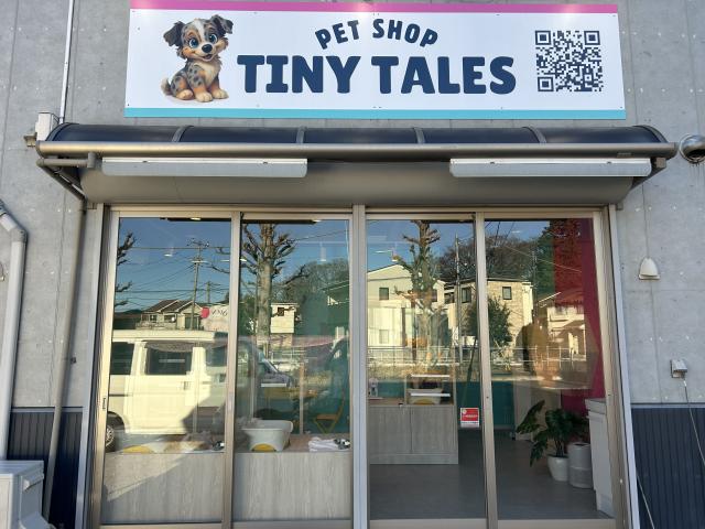 保護猫タイニーの外観