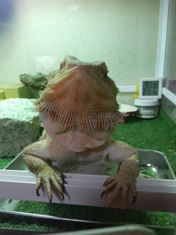 メジェド堂の外観
