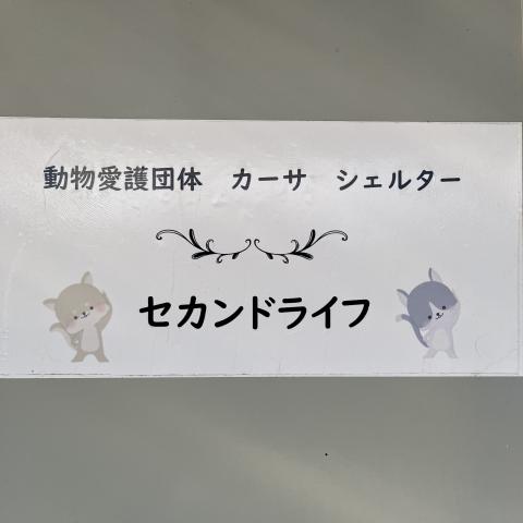 セカンドライフの外観