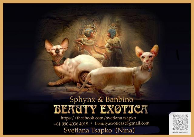 BEAUTY EXOTICAの外観