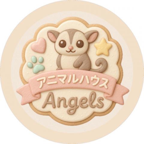 アニマルハウス　Angelsの外観
